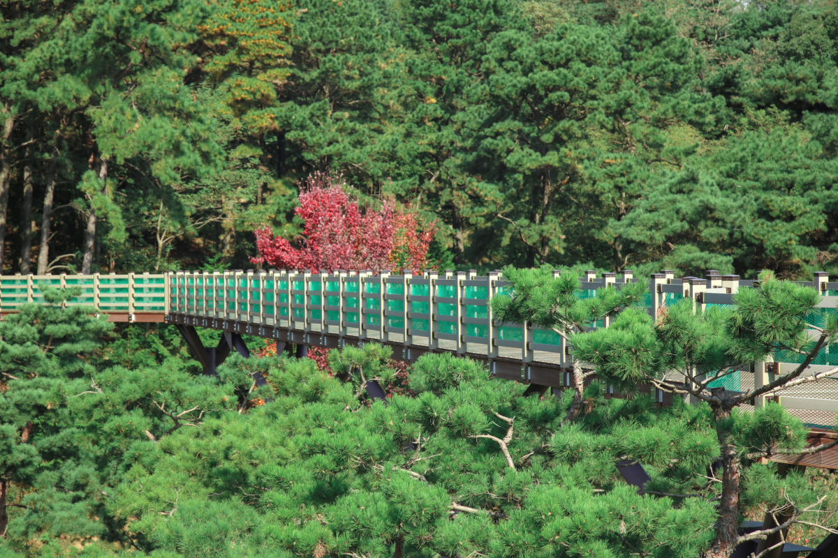 봉수산하늘테크 이미지04