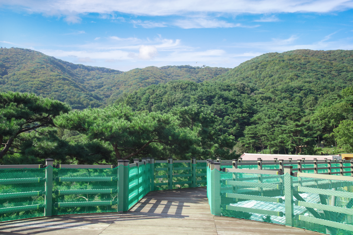 봉수산하늘테크 이미지05