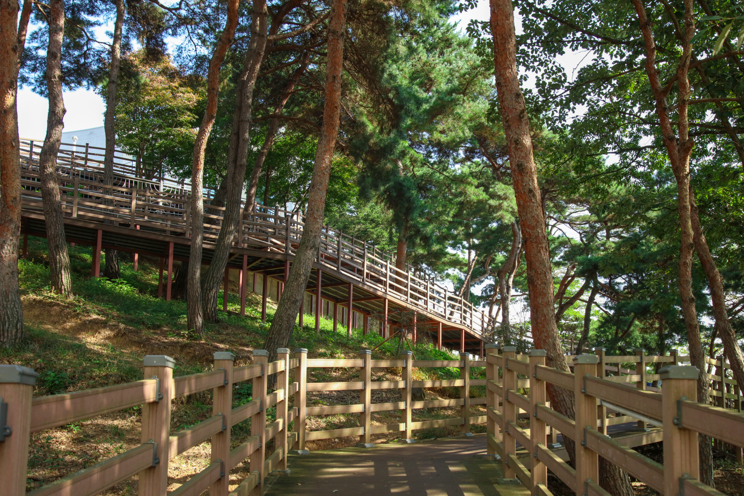 예당호 느린호수길 이미지01