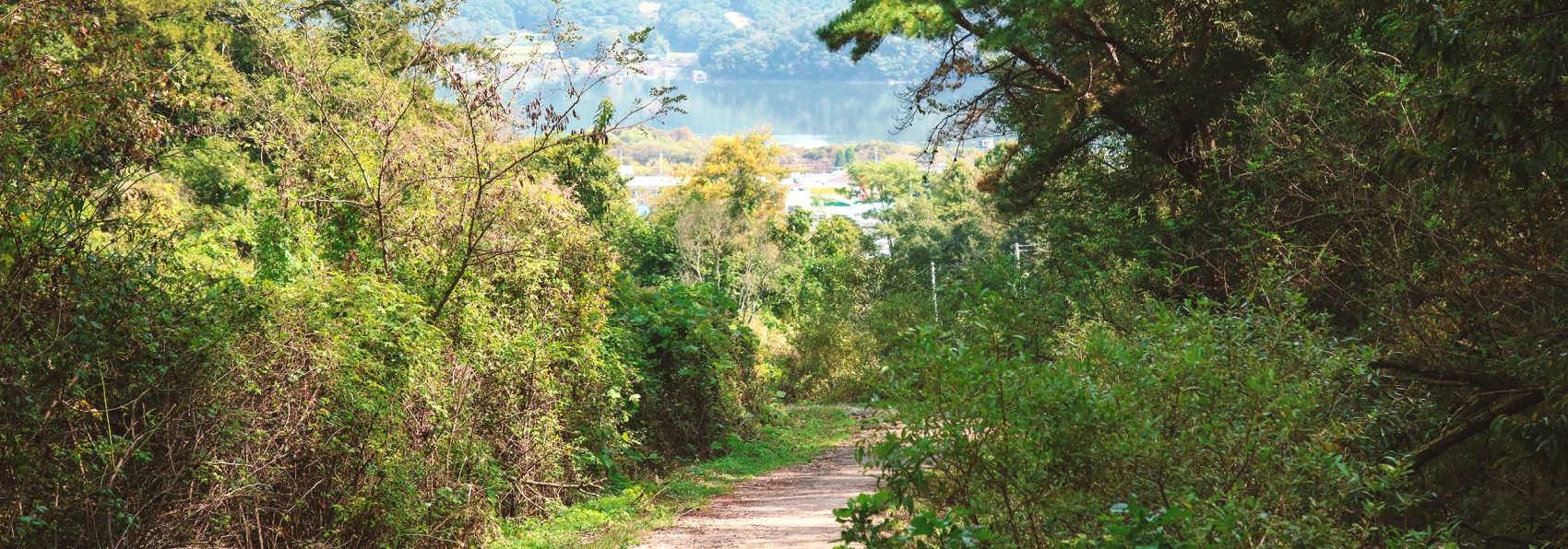 대흥면 느린꼬부랑길 이미지02