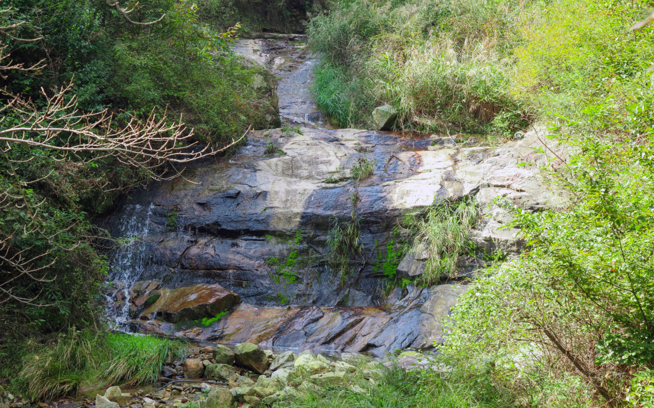 대흥면 느린꼬부랑길 이미지03