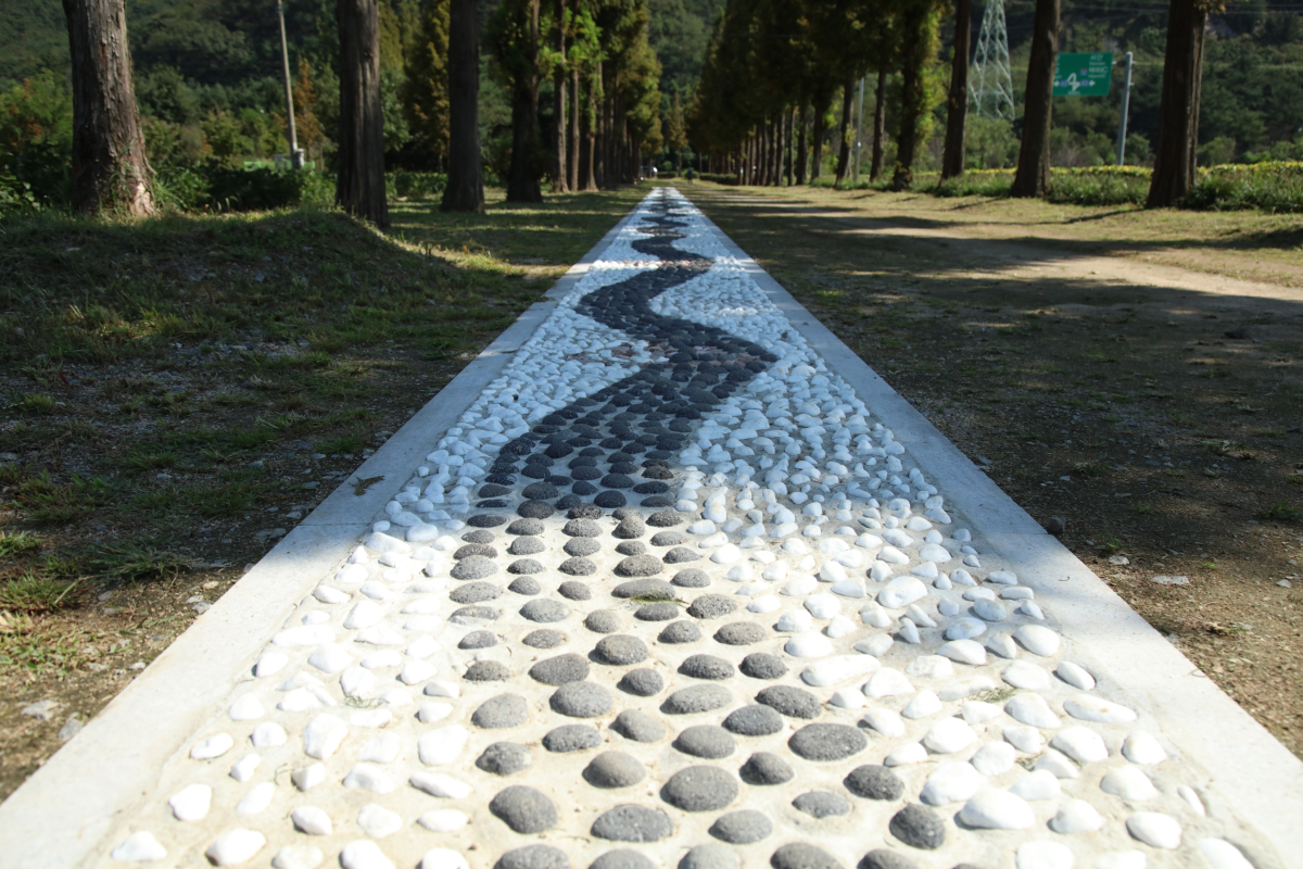 메타세콰이아길 이미지04