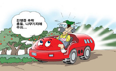 진행중 추락 충돌, 나무가지에 주의...