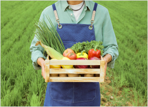 농정유통과 관련 이미지 입니다.