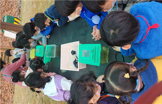 황새야 뭐하니 사진