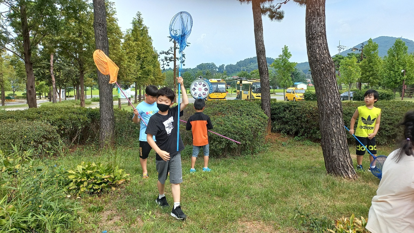 와글와글 곤충들 사진