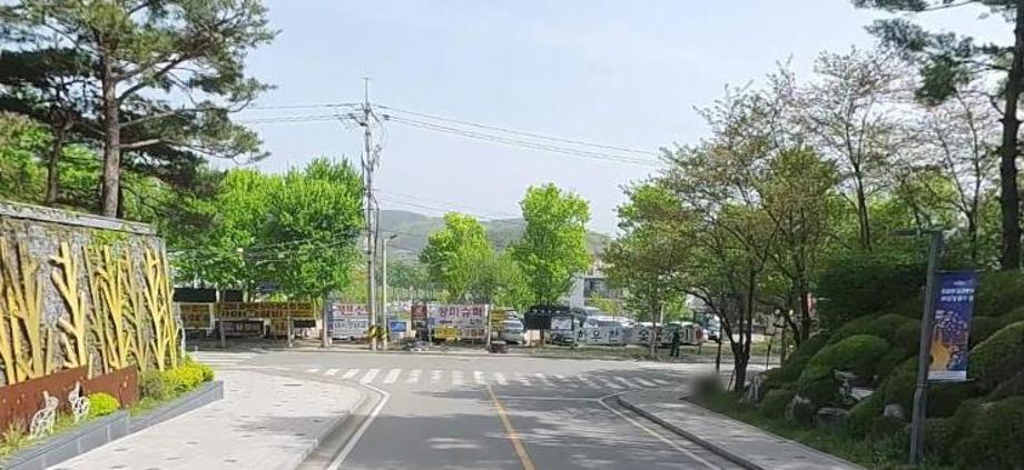 덕산온천관광지 내 불법광고물 현황 이미지