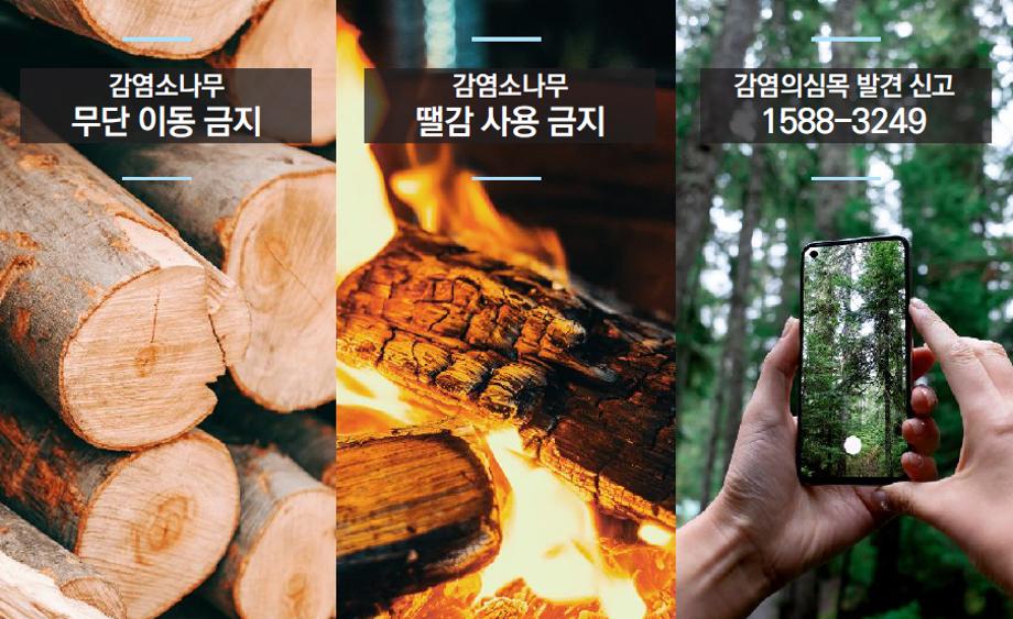 2.소나무류 무단 이동 특별단속 안내 홍보물 (2) 이미지