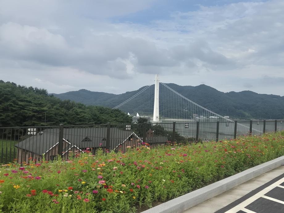 3.예당호 전망대 주차장 백일홍 개화 모습 (2) 이미지