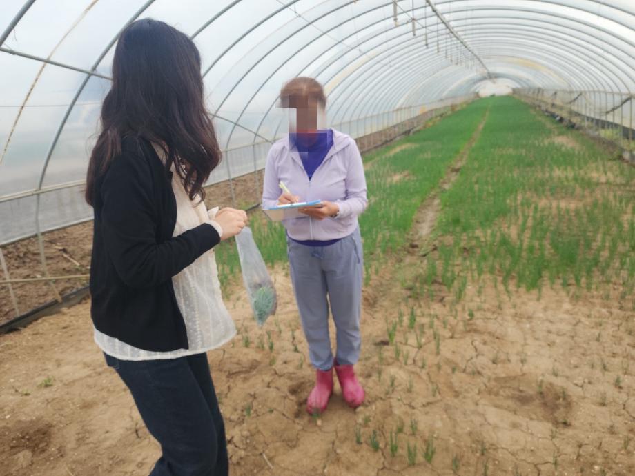 2,농산물 시료채취 모습 이미지
