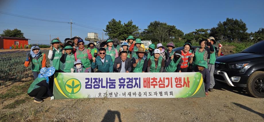 9.오가면 남녀새마을지도자협의회 사랑의 배추심기 행사 모습 이미지