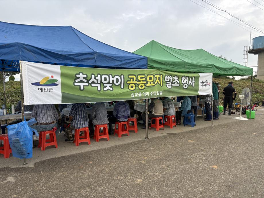 5.삽교읍 무연분묘 벌초작업 모습 이미지