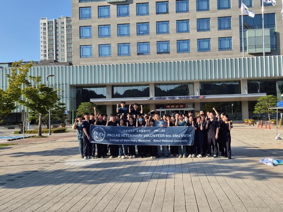 13.길고양이 중성화(TNR) 수술 봉사활동 사진 이미지