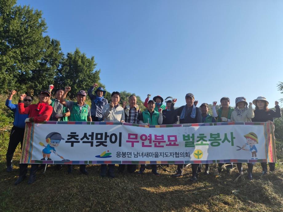 17.응봉면 새마을남녀지도자협의회 무연분묘 벌초 모습(1) 이미지