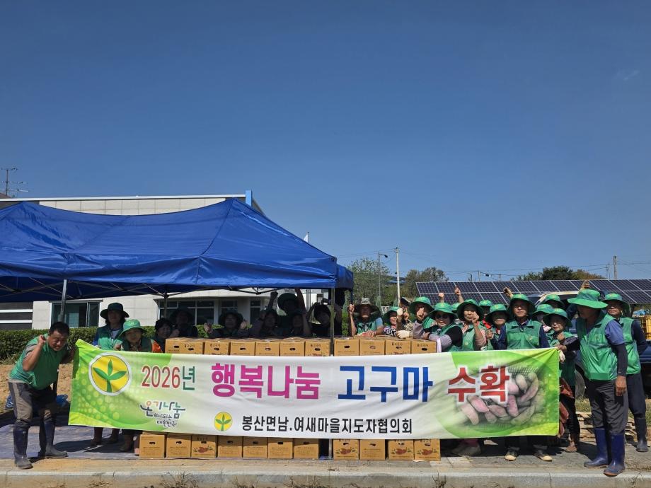 9.봉산면 새마을회 행복나눔 고구마 수확 행사 모습 (1) 이미지