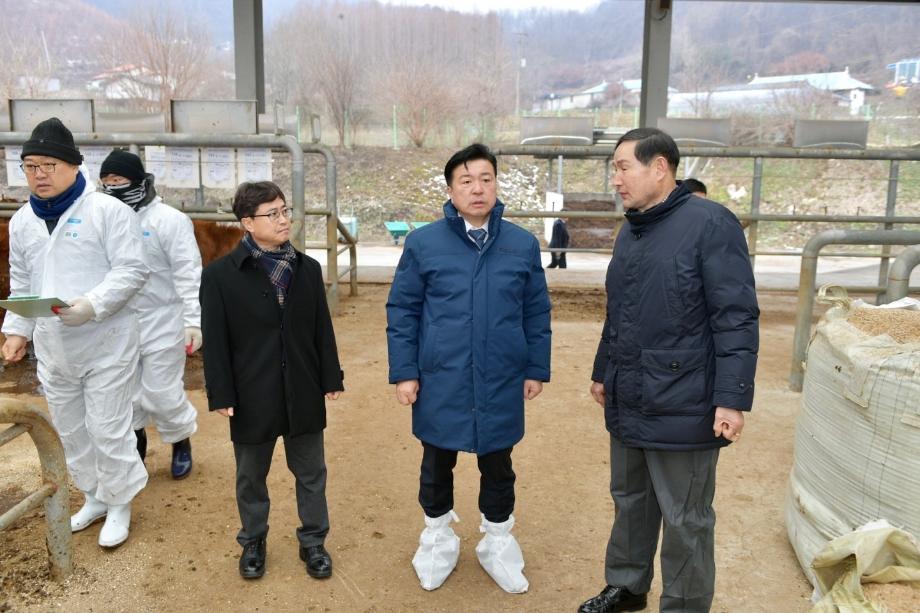 송아지 경매시장 방문 이미지
