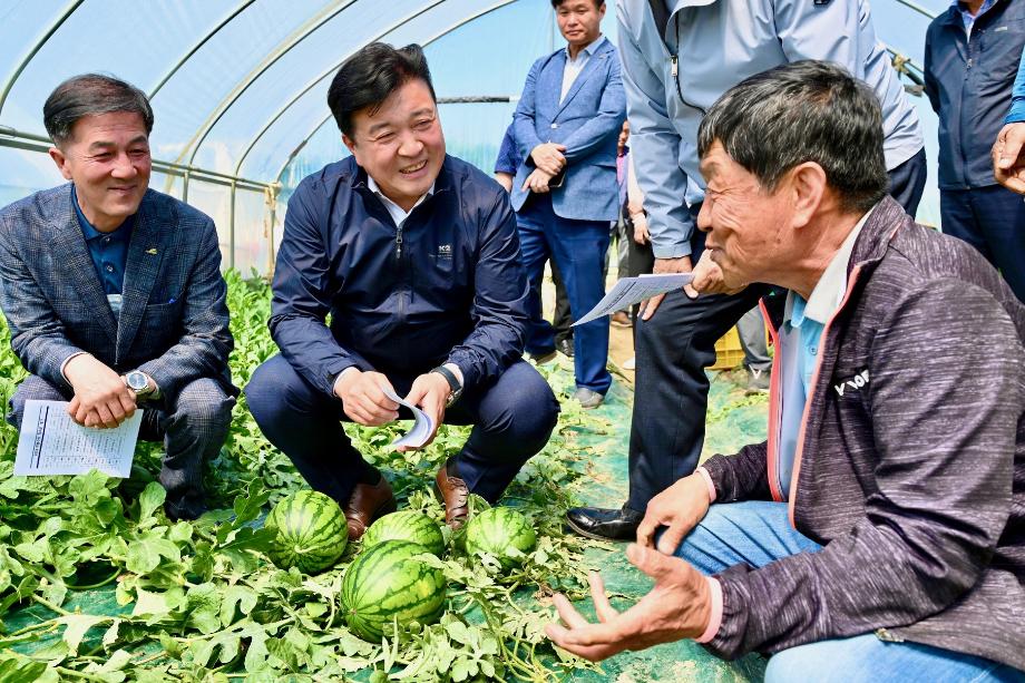 애플수박 작목반 소형수박 첫 출하식 이미지