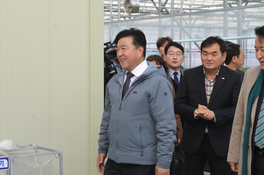 김영환 충북도지사 스마트팜 방문(정이가네 딸기농장) 이미지