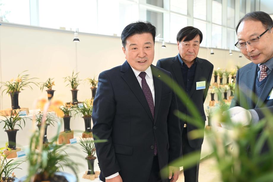 한국 춘란 전시회 이미지