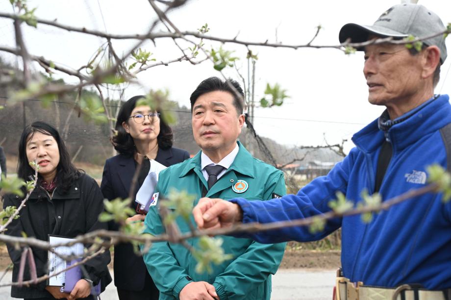 과수 저온피해 발생 현장 점검 이미지