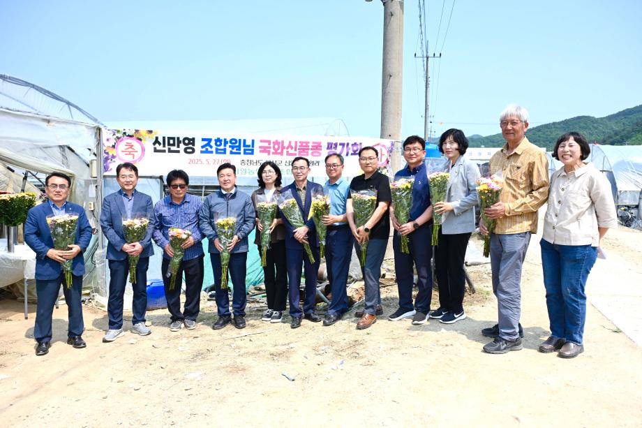 국화신품종 및 육성계통 품평회 이미지