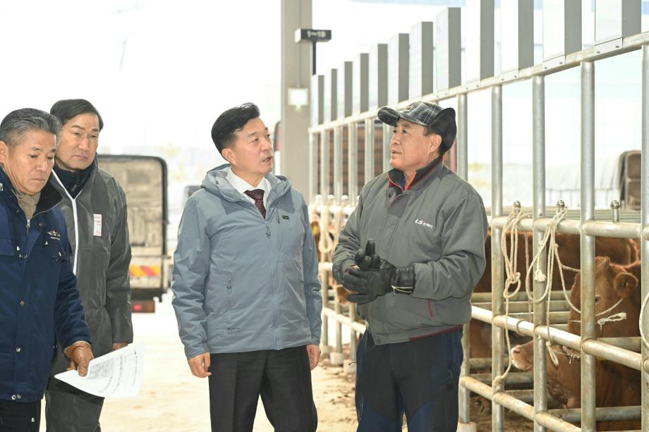가축경매시장 방문 이미지