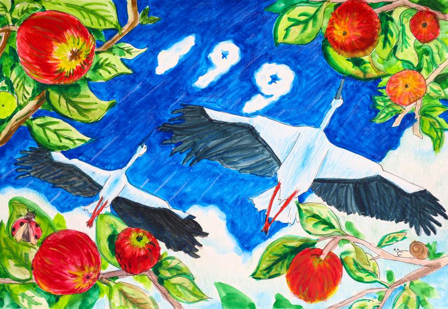 2023년 예산 황새 전국 그림 공모전 수상작(초등부) (3) 이미지