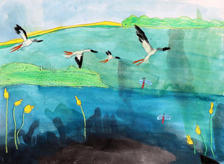 2024년 예산 황새 전국 그림 공모전 수상작(유치부) (1) 이미지