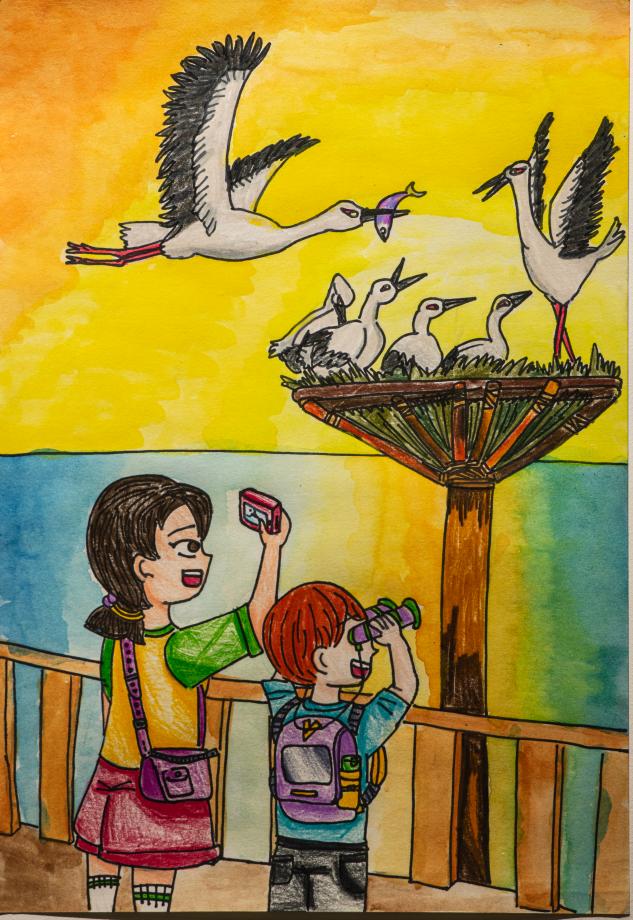 2025년 예산황새 전국 어린이 그리기(초등부 우수상) 이미지