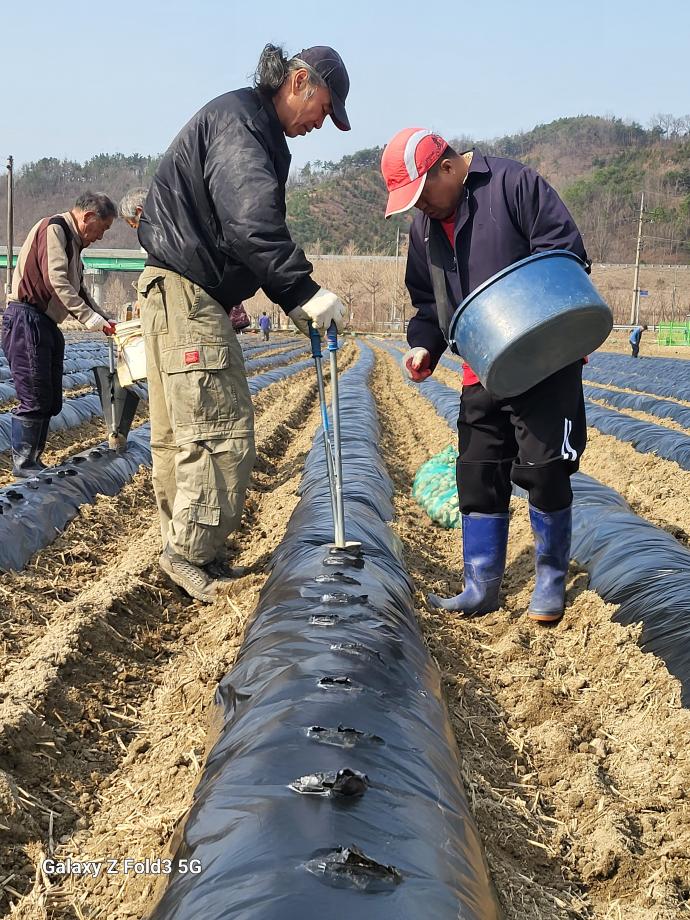 예산군농업기술센터 감자연구회, 벼 재배면적 조정제 동참! 이미지