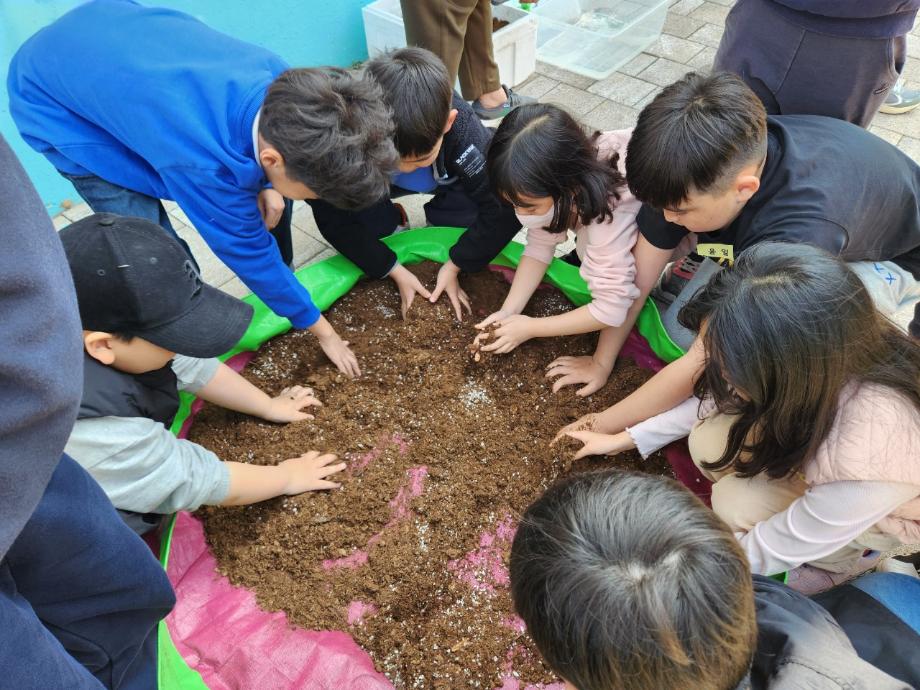농업·농촌체험으로 미래인재 양성, 예산군, ‘늘봄학교 연계 교육프로그램’ 본격 운영, 창의력·정서 함양 기대 이미지