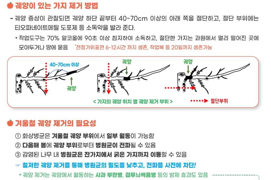 예산군 농업기술센터, 과수화상병 예방 위한 겨울철 과원 관리 철저 당부 이미지