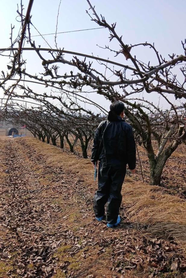 예찰사진 이미지