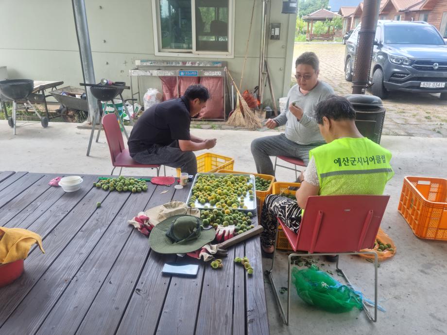 보도사진2(도시민 대상 '귀농귀촌 희망인 농촌체험' 참가자 모집) 이미지