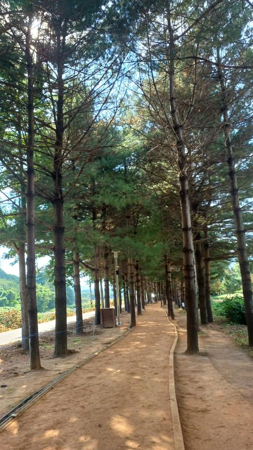 KakaoTalk_20261007_134309785_03 이미지