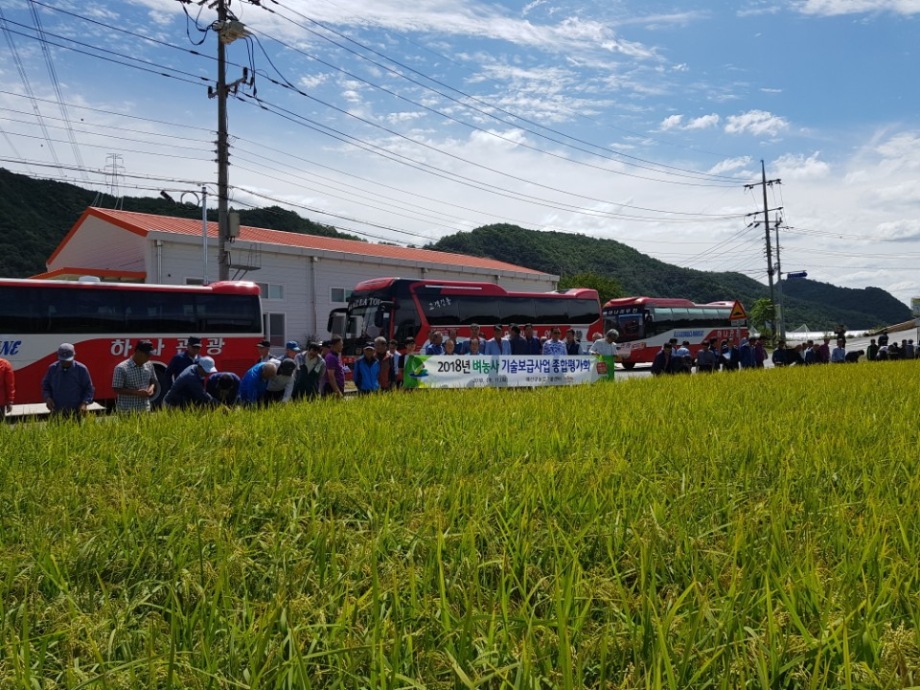 2018년 벼농사 기술보급사업 종합평가회 개최 이미지