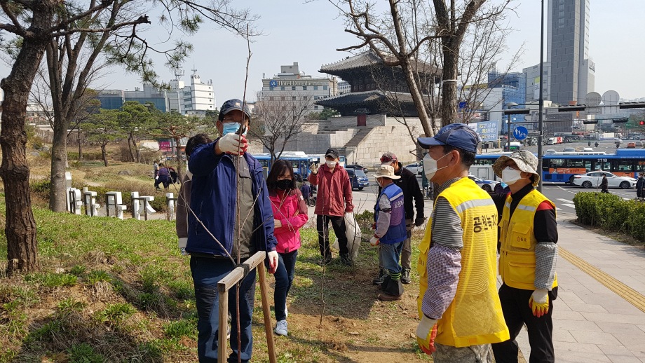 예산군, 서울 중구 통일로에 ‘예산사과나무 거리’ 조성 이미지