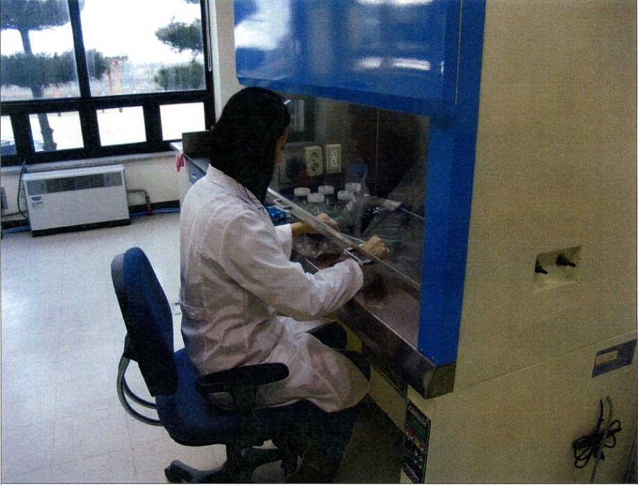 조직배양기술을 이용한 무병 종묘 생산 돌입 이미지