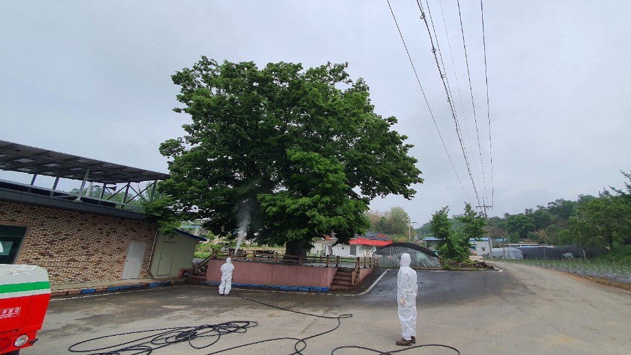 예산군, 산림병해충 예찰·방제대책본부 운영 이미지