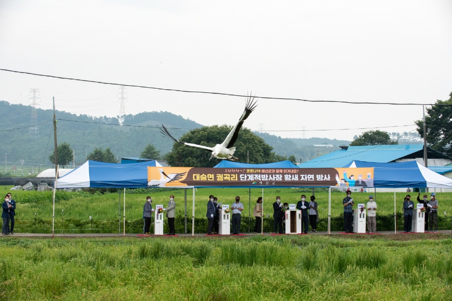 예산군, 코로나19 극복 기원 담아 황새 자연방사! 이미지