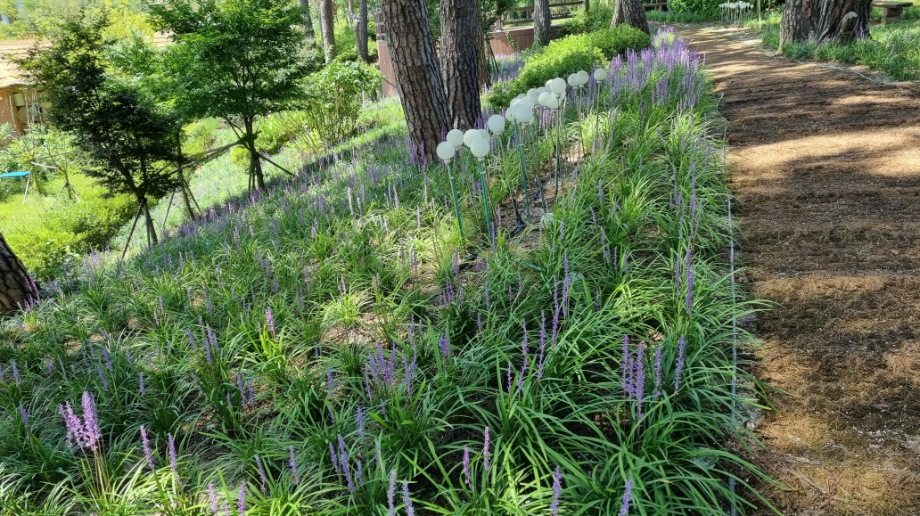 예산군, “올 가을은 내포보부상촌에서 만나요!” 이미지