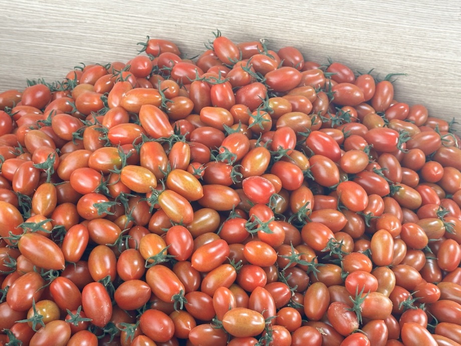 예산군에서 생산한 ‘방울토마토’ 안심하고 드세요! 이미지