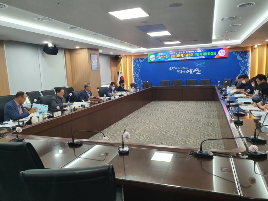 민선7기 공약이행평가위원회 2020년도 상반기 실적평가 문화복지분과회의 이미지