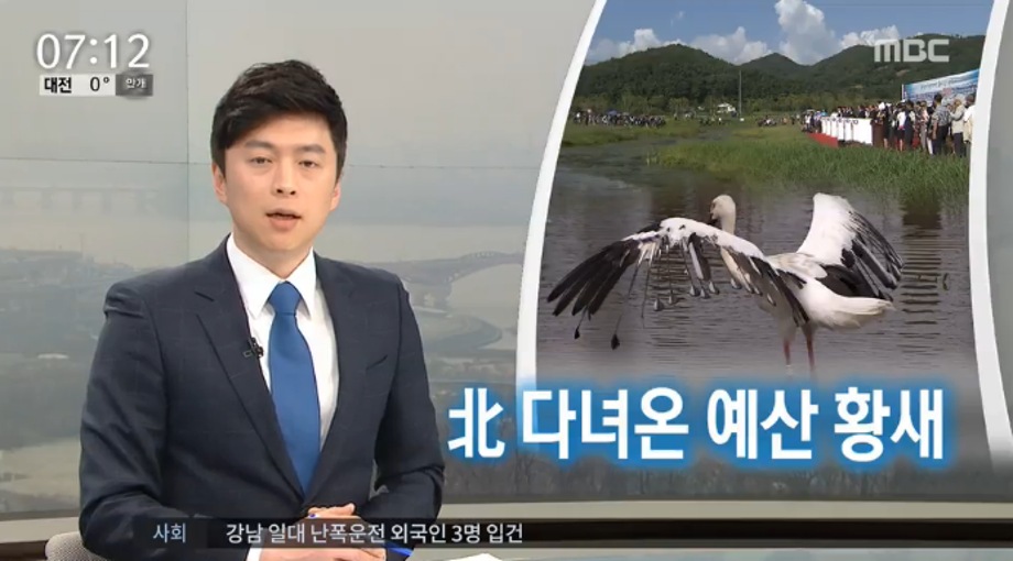 [MBC 뉴스튜데이] 북한 머물다 돌아온 예산 황새, "귀소본능" 주목 이미지