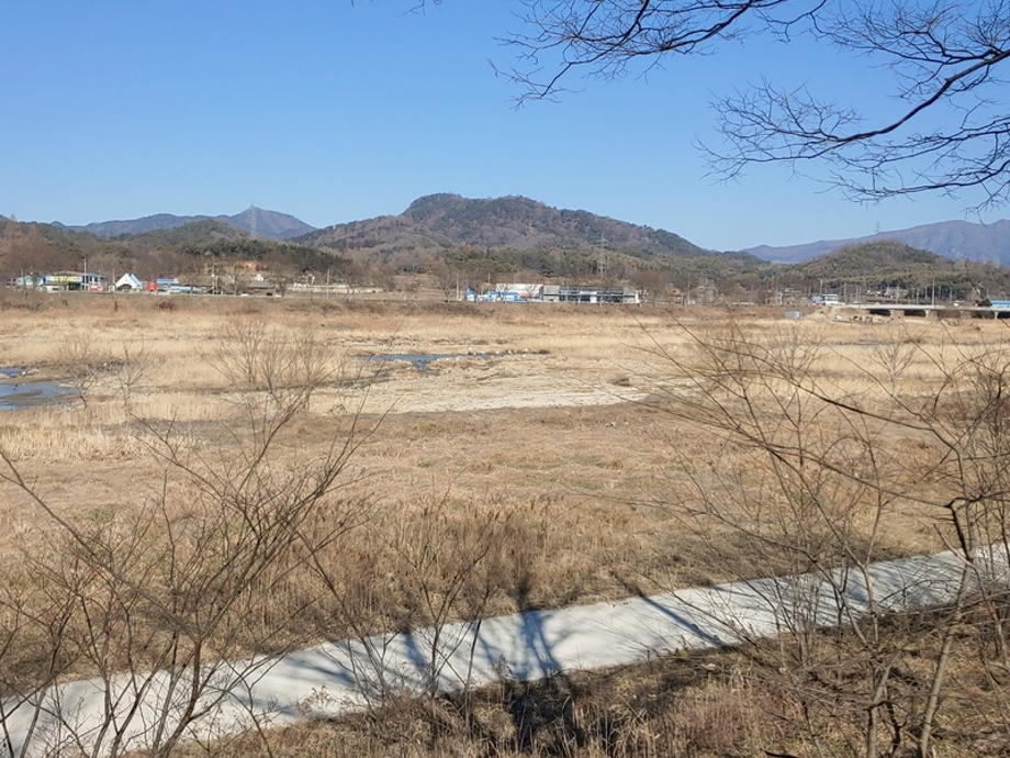 [2021.02.09] 전라남도 담양군에서 관찰된 황새입니다. 이미지