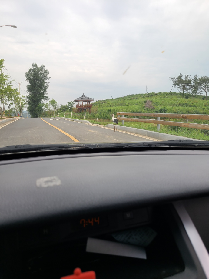 [2021.06.07] 충청남도 예산군에서 관찰된 황새입니다. 이미지