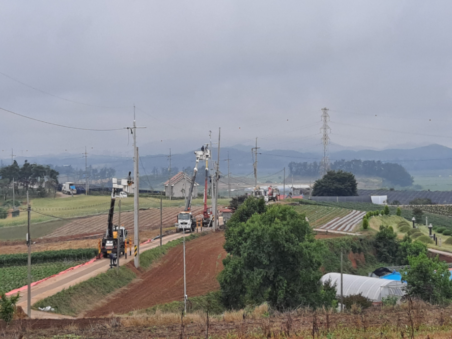 [2021.06.18] 충청남도 태안군에서 관찰된 황새입니다. 이미지