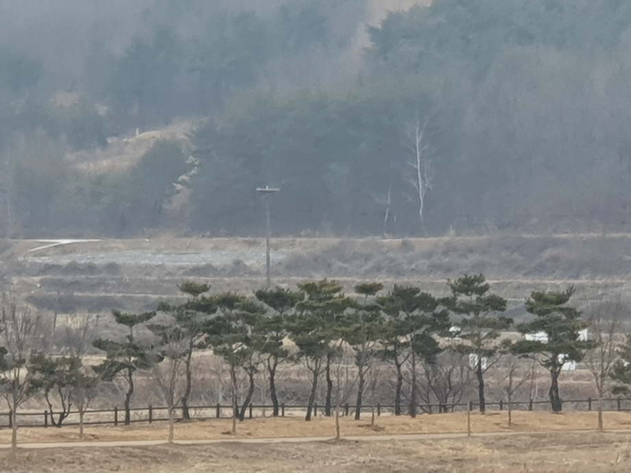 [2022.01.25] 충청남도 예산군에서 관찰된 황새입니다. 이미지