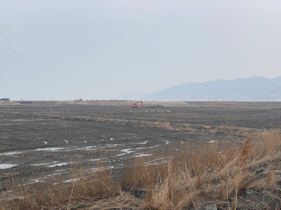 [2022.01.26] 전라남도 영광군에서 관찰된 황새입니다. 이미지