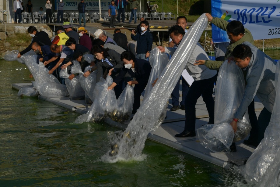 2022년 수산종자(붕어) 방류행사 이미지
